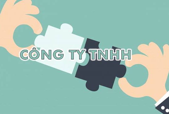 CÔNG TY TRÁCH NHIỆM HỮU HẠN